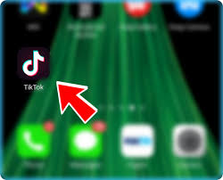 Besides, the app lets you control the playback speed of the video, apply effects and filters or activate the beauty mode before you start shooting a video. How To Report A Video In Tiktok 3 Steps With Screenshots Tik Tok Tips