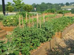 To build a garden plot, a location must be chosen, and the grass smothered or removed. 21 Youth Community And Therapeutic Gardening Nc State Extension Publications
