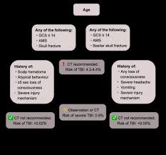 Image result for PECARN Pediatric Intra-Abdominal Injury Algorithm