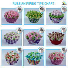 Ternola Russian Piping Tips E Guide Set Of 31pcs For