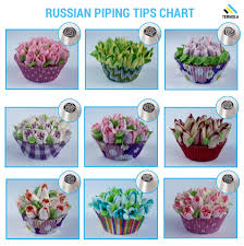 ternola russian piping tips e guide set of 31pcs for