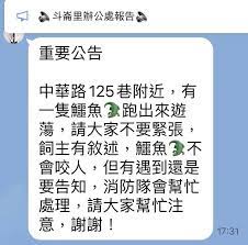 竹北有鱷魚 好嗨 118.163.125.187 08/17 16:40 15 f → bathilda : Ya8ii9rojmkxam
