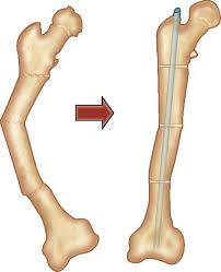 Jaypeedigital Ebook Reader