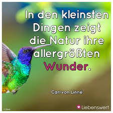 Zitate Spirituelle Themen Neu Staat