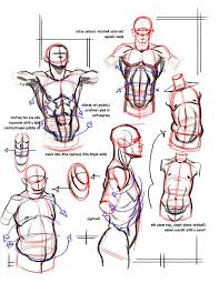 In the italian renaissance, artists from piero della francesca (c. Human Anatomy Male Torso Drawing Novocom Top