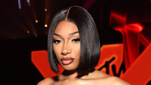 Megan Thee Stallion files harassment lawsuit against blogger - OECD.AI