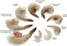 Buy Fresh Tiger Prawns Online Best Prices Delhi Gurgaon