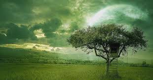 Dengan menggunaka gambar wallpaper cantik yang hendak sajikan contohnya 3d, hd dan 4d. Wallpaper Pemandangan Alam 3d God Of Wonders 1200x630 Wallpaper Teahub Io