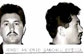 LA REINA DE LA GEN Z