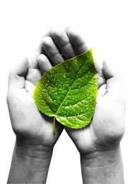 Bina initiatives aims to bring a fresh and innovative approach with solution and services in the area of project management and design management. Toner Cartridges Jadi Imaging Technologies Sdn Bhd