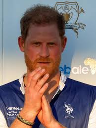 Prijatelj princeze Diane ozbiljno opleo po Harryju: 'Priča besmislice o  njoj, a jednu stvar William nikad ne bi učinio'