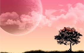 Pink Dream Wallpapers Wallpaper Cave