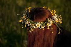 Midsummer Celebration