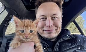 CatCoin on X: "Last month, @catcoin was touched on the arm by Elon Musk,  Founder of @Tesla 🤑 https://t.co/7rIvnZtYTM" / X