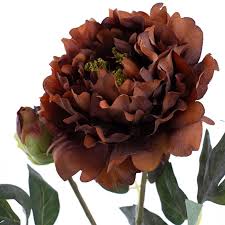 Check spelling or type a new query. Vintage Peony Spray Burnt Orange 70cmh