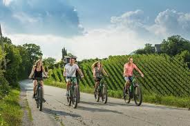 E-Bike Tour & Wine Tasting Private Day Trip from Zagreb - Evendo