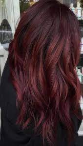 Dark Burgundy Hair With Highlights Blackhair Burgandyhairbalayage Dark Burgundy Hair Burgundy Hair Burgundy Hair With Highlights
