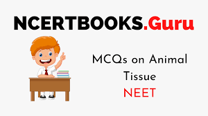 Biology std 9 for cbse and state board. Mcqs On Animal Tissue For Neet 2020 Ncert Books