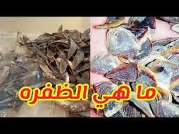 ظفره البخور او الضفره ما هي وما انوعاها واشكالها وجودتها من هنا Youtube