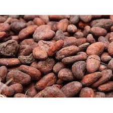 In minecraft, cocoa beans is an item that you can not make with a crafting table or furnace. Cocoa Beans At Rs 280 Kilogram S Cocoa Beans Id 10262198788