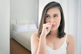 How To Get Rid Of Musty Smell In Your Home Damage Buddy