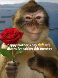 happy mother's day to your moms 🫶🏻