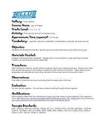 Animal Dichotomous Key