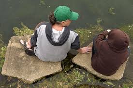 HIDING IN PLAIN SIGHT: Building a home