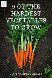 Maybe you would like to learn more about one of these? Hardest Vegetables To Grow Gardener S Challenge Homegrown Herb Garden