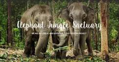 Home | Elephant Jungle Sanctuary Thailand