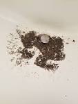 How to Get Rid of Black Gunk in Sink Drains BFP Bay Area