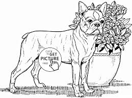 Boston Terrier Dog Coloring Page For Kids Animal Coloring Pages Printables Free Wuppsy Com Dog Coloring Page Animal Coloring Pages Coloring Pages