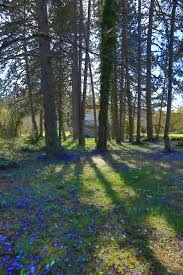 Le Cepe De Beaune Location A La Montagne De Beaune Nouvelles Maisons Montagne Location