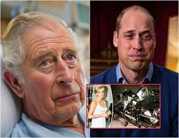 Prince Harry's Incident in the U.S. and Request for William's Help