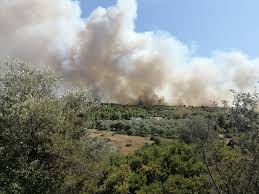 Μεγάλη πυρκαγιά ξέσπασε πριν από λίγη ώρα σε πευκόφυτη περιοχή ανάμεσα σε μαλεσίνα και θεολόγο στη λοκρίδα της φθιώτιδας. K7oza Z1lfly1m