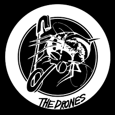 Image result for anarcho punk logo