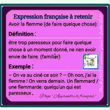Elle A La Flemme De Preparer Le Apprendre Le Francais Facebook