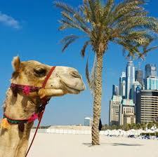 Image result for arab country