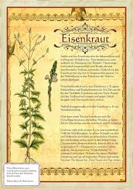 Pin Von Krautrausch Auf Heilkrauter Heilpflanzen Pflanzen Und Krauter Pflanzen