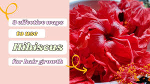 Black or green tea rinse: 3 Amazing Ways To Use Hibiscus For Hair Hibiscus For Hair Growth Diy Homemade Remedy Youtube