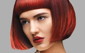 Articles — Connemara Life