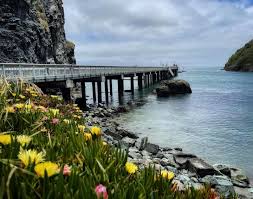 😍 Humboldt County sure is beautiful! Thanks to the Rural County  Representatives of California for sharing this lovely capture of Trinidad  by Susan Chase with us. ➡️ Repost from @ca_ruralcounties #RuralCountyPhoto:  A