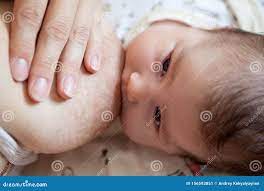 母乳喂养、新生儿母乳喂养、脸库存图片. 图片包括有饮料, 硼硅酸盐, 子项, 食物, 女孩, 产假- 156593851