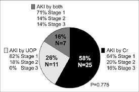 Pie Chart Showing Distribution Of Acute Kidney Injury Aki