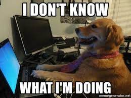 I Don T Know What I M Doing Dog Computer Meme Generator