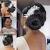 Elegant Black Hair Updos
