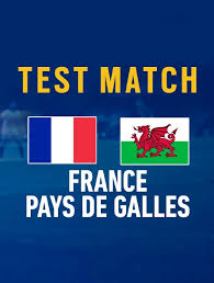 Match en direct gratuit, live streaming online. Rugby Test Match France Pays De Galles En Streaming Molotov Tv