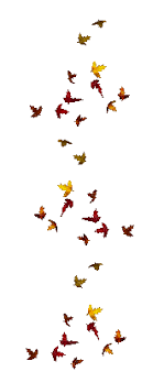 We have collected 85 animated images. Automne Feuilles Gif Autumn Leaves Picmix