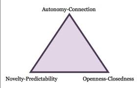 Survey Of Communication Study Chapter 9 Interpersonal Communication Wikibooks Open Books For An Open World