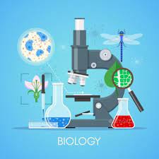 biology science education concept vector poster in flat style design biology school laboratory equipment science education biology biology poster